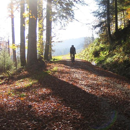 Hotel Lamm Baiersbronn Mitteltal Kültér fotó