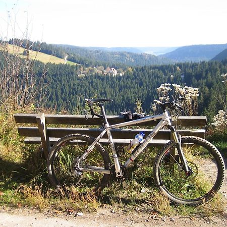 Hotel Lamm Baiersbronn Mitteltal Kültér fotó