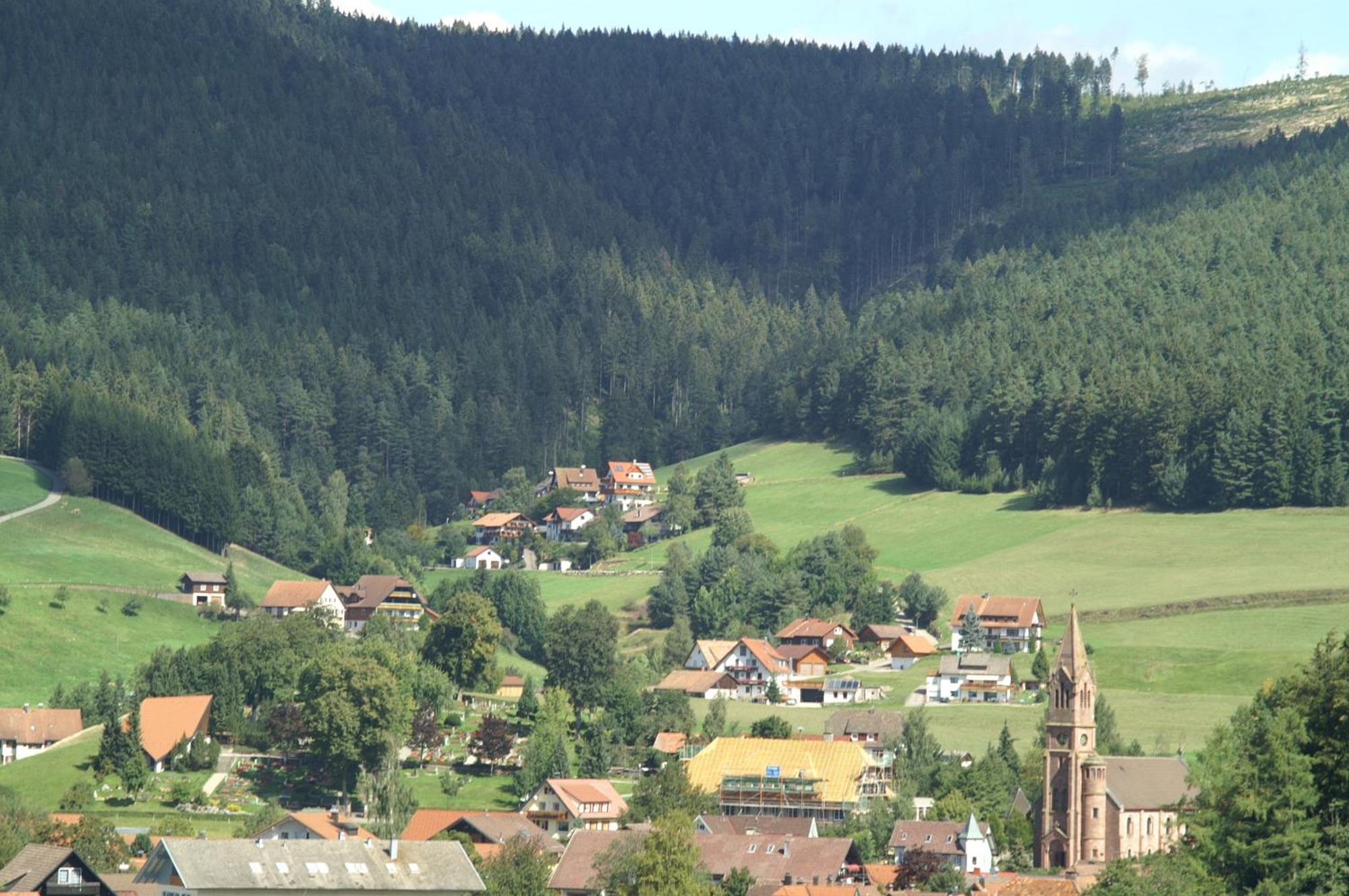 Hotel Lamm Baiersbronn Mitteltal Kültér fotó