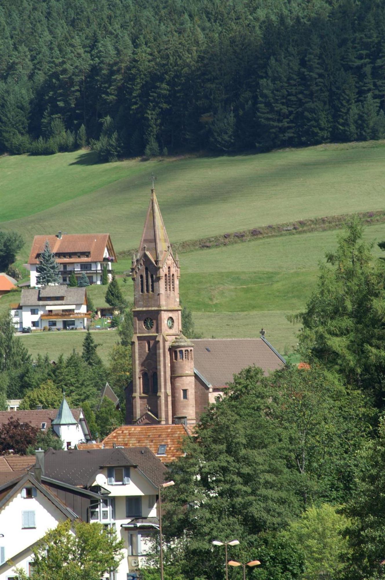Hotel Lamm Baiersbronn Mitteltal Kültér fotó